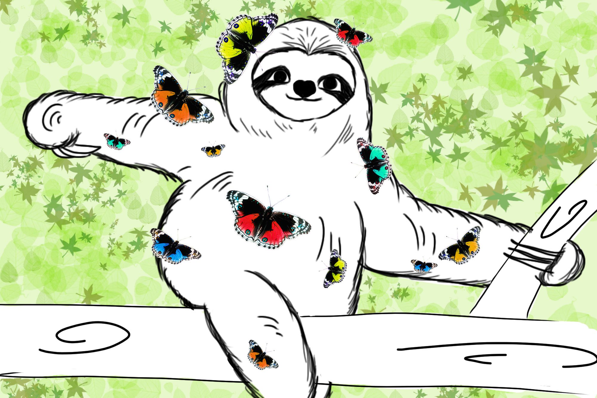 Faultierwissen Lovely Sloth Faultiere und Schmetterlinge