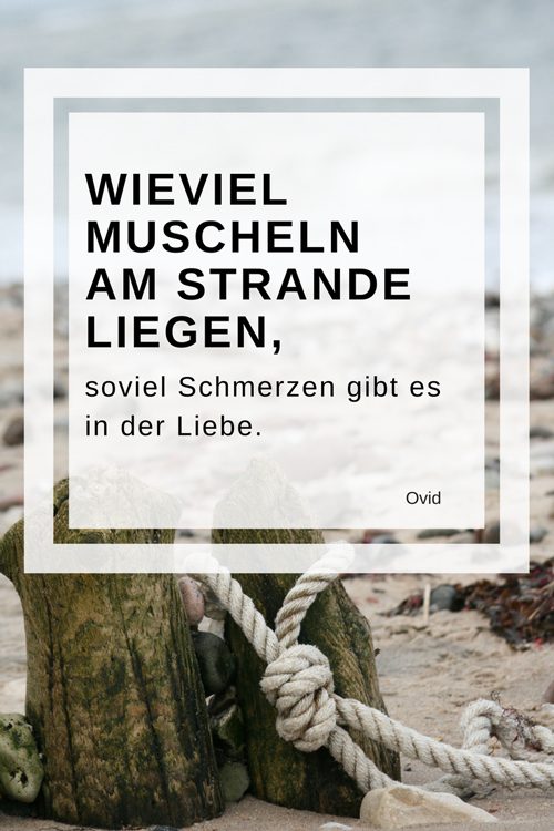 Wieviel-Muschlen-am-Strande-liegen-lovely sloth zitate