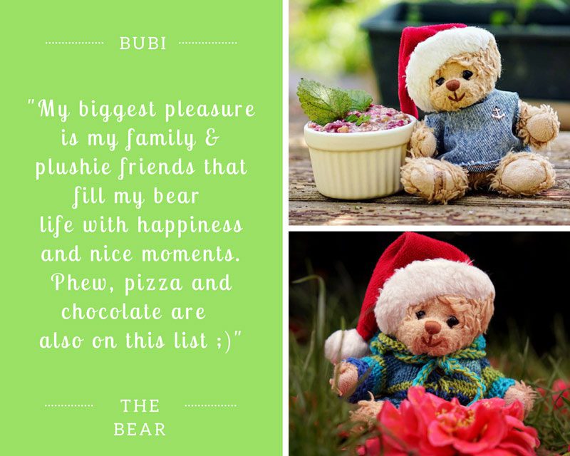 bubi-the-bear-lovely-sloth