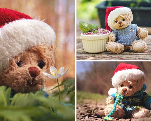 bubi-the-bears-blog-pictures